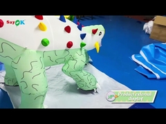 5m/16ft Inflatable Mascot Inflatable Dinosaur Model For Exhibition